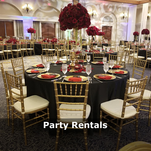Party Rentals #3